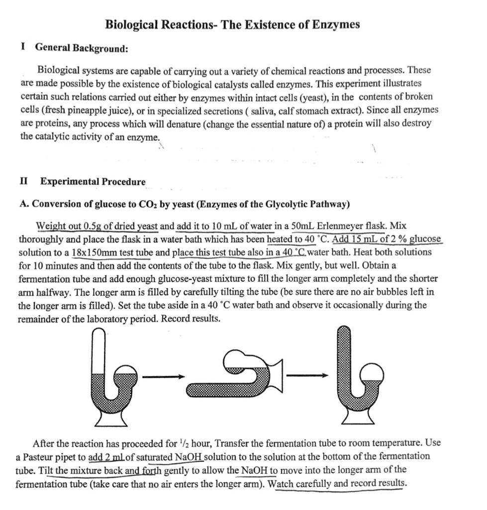 Solved Biological Reactions- The Existence of Enzymes I | Chegg.com