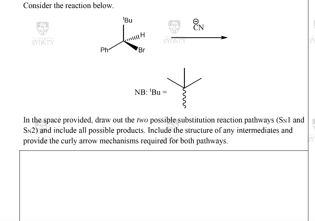 Solved Consider the reaction below. tBu CN MITH SYDNEY | Chegg.com