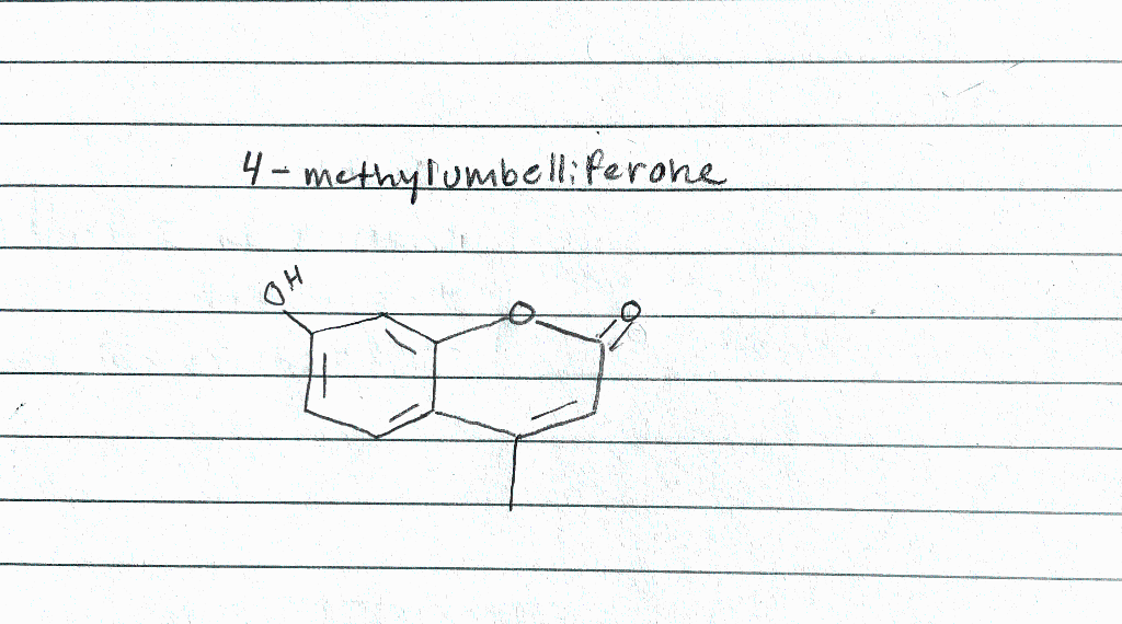 Solved Draw a structure to represent the molecular ion peak | Chegg.com