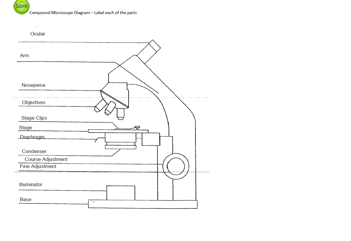 Solved Compound Microscope Diagram Label each of the parts