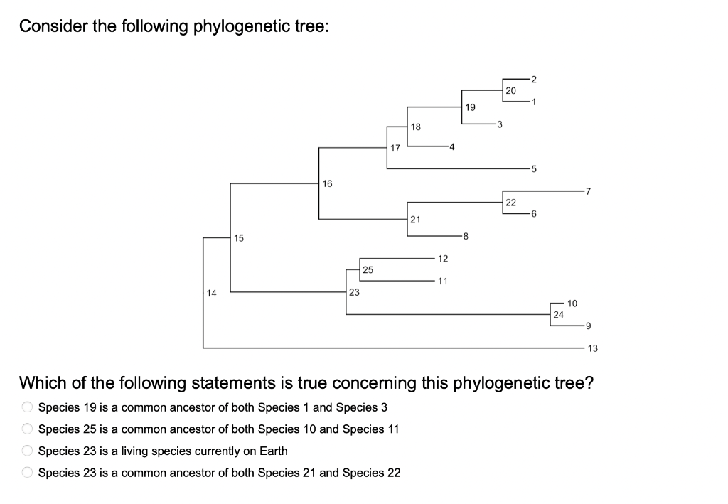 Solved Consider The Following Phylogenetic Tree: Of The | Chegg.com