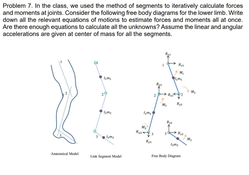 Figure E1: A conceptualised body segment model for the batting