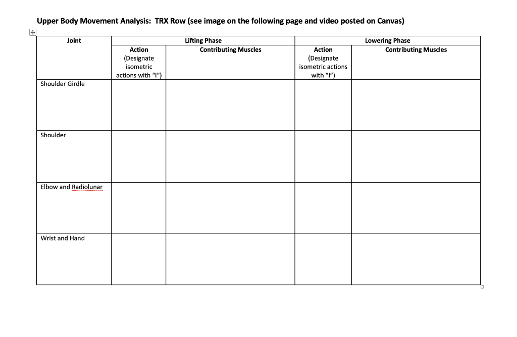 Solved Upper Body Movement Analysis: TRX Row (see image on | Chegg.com