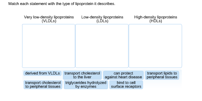 Solved Match each statement with the type of lipoprotein it | Chegg.com