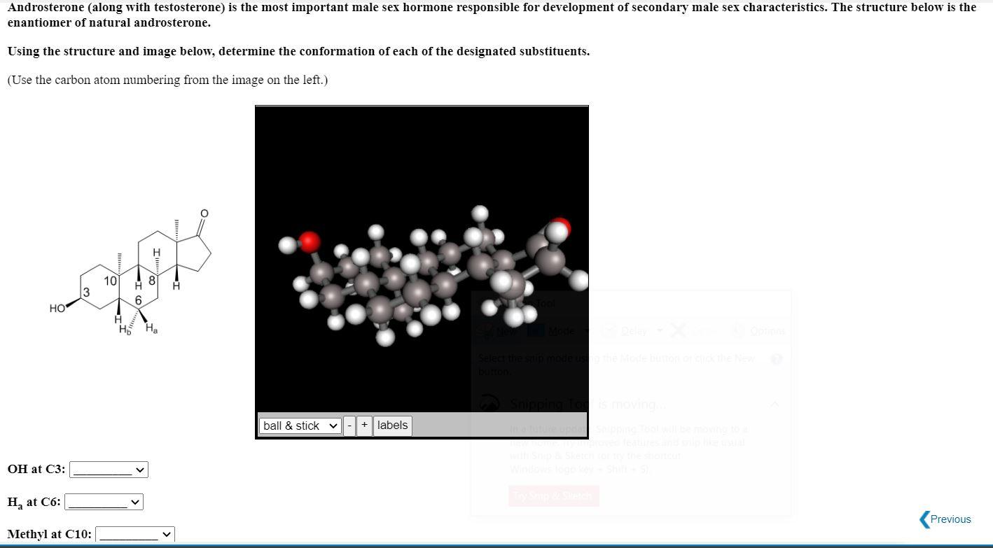 Solved Androsterone (along with testosterone) is the most | Chegg.com