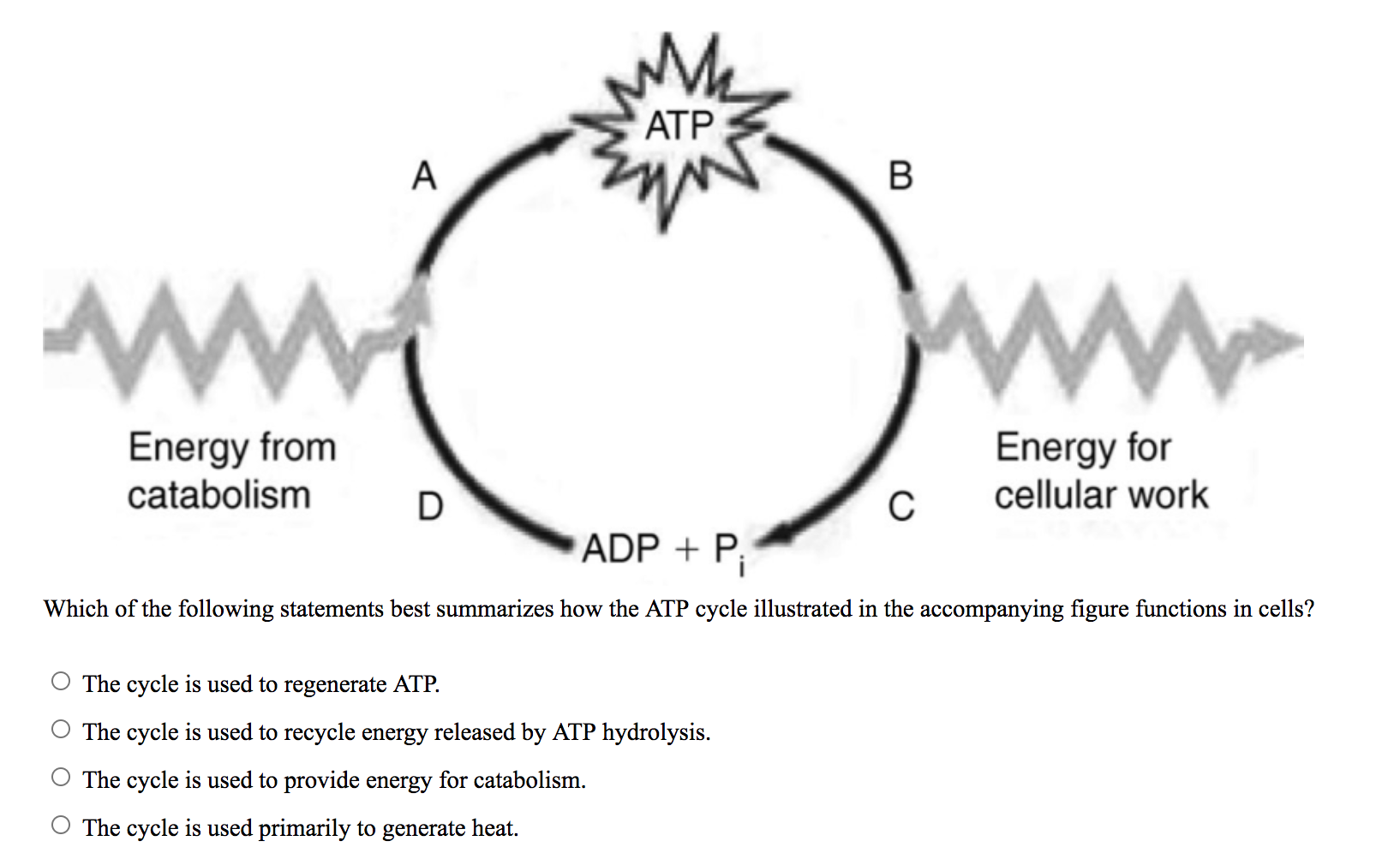 Catabolism Is Another Name For What Chemical Reaction