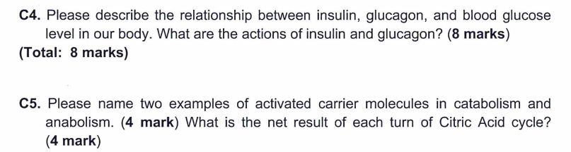 Solved C4. Please describe the relationship between insulin, | Chegg.com