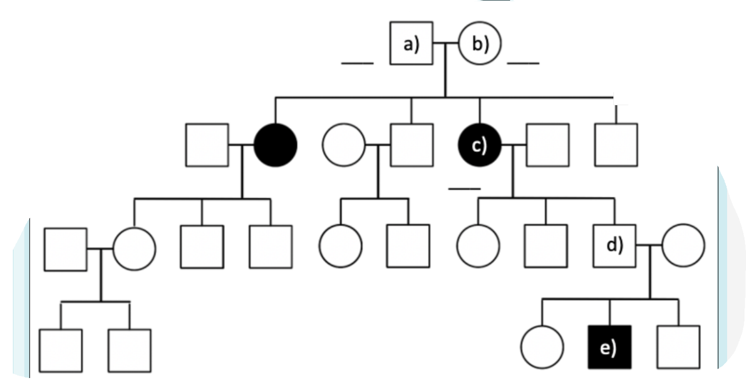 Solved What pattern of inheritance is shown in this pedigree | Chegg.com