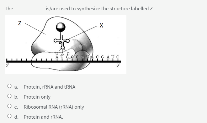 Solved The Is Are Used To Synthesize The Structure Chegg Com