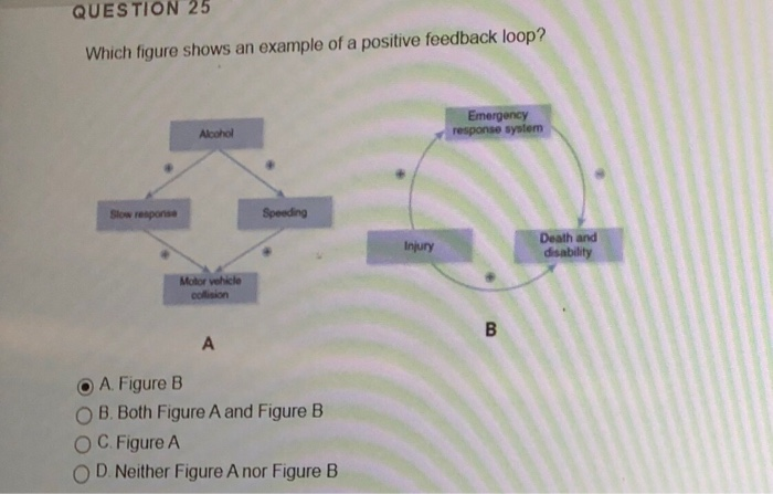 Positive Feedback Mechanism Examples positive-feedback-mechanism-examples