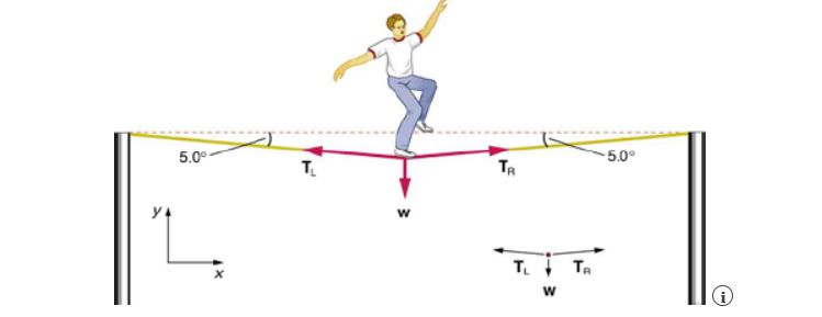 Solved (a)Calculate the tension (in N) in a vertical strand | Chegg.com