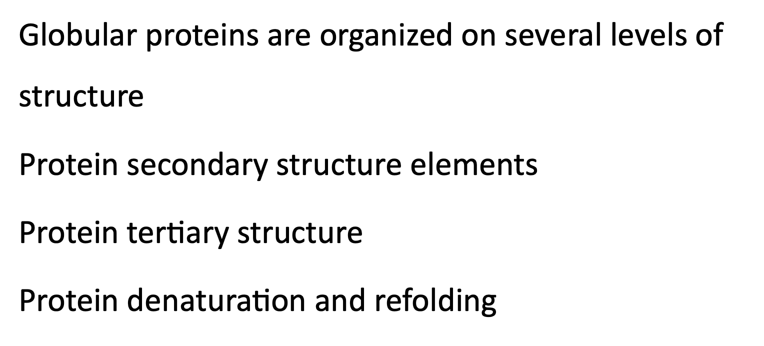 Solved Globular proteins are organized on several levels of