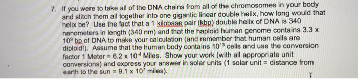 Solved 7. If you were to take all of the DNA chains from all | Chegg.com