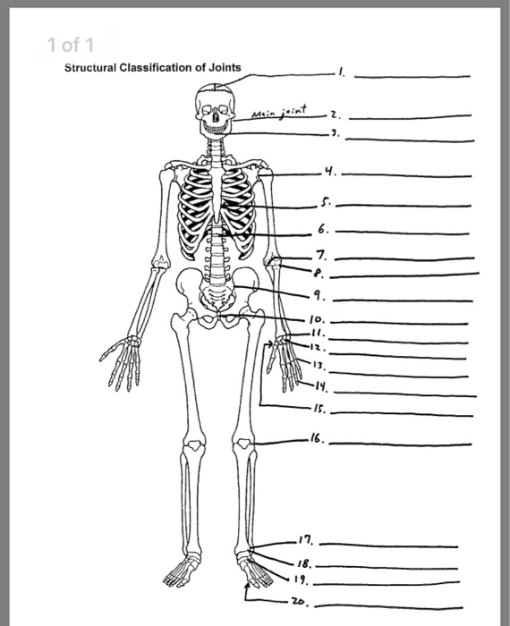 Solved 1 of 1 0 Structural Classification of Joints 2. 4. 6. | Chegg.com