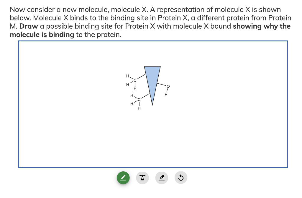 Now consider a new molecule, molecule X. A