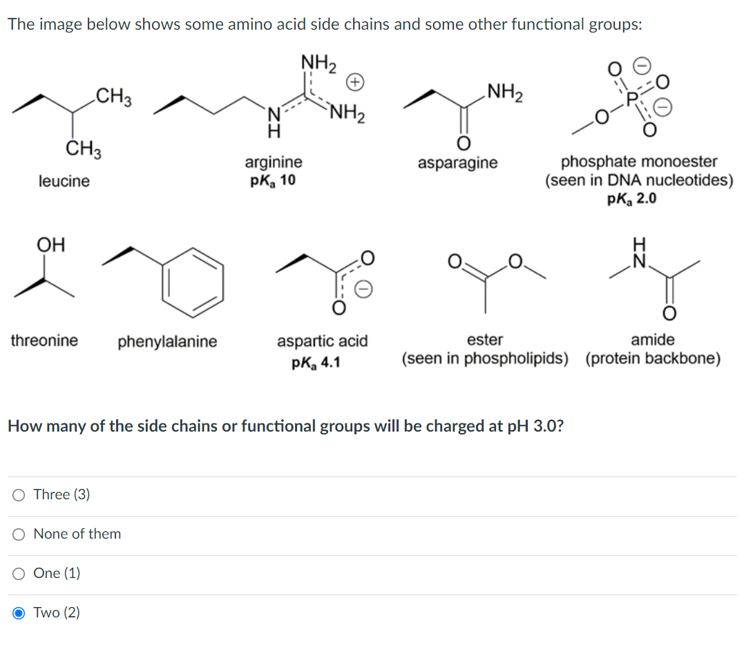 Solved The image below shows some amino acid side chains and | Chegg.com