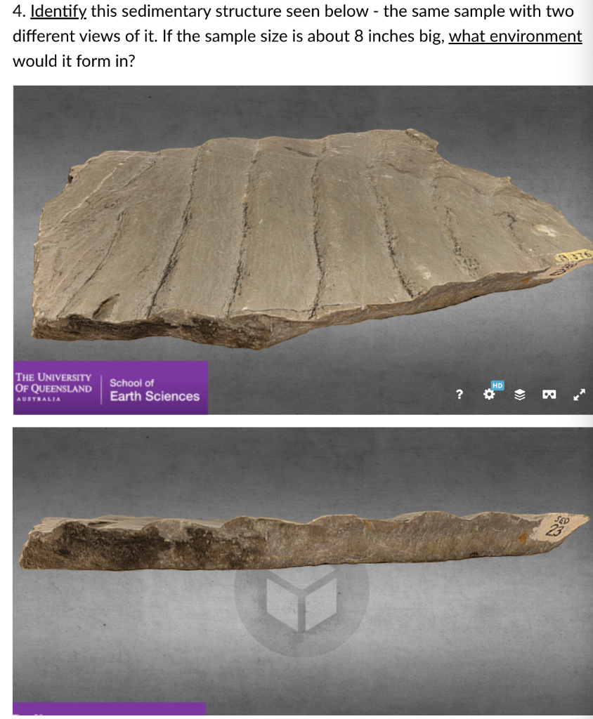 Solved 4. Identify this sedimentary structure seen below - | Chegg.com