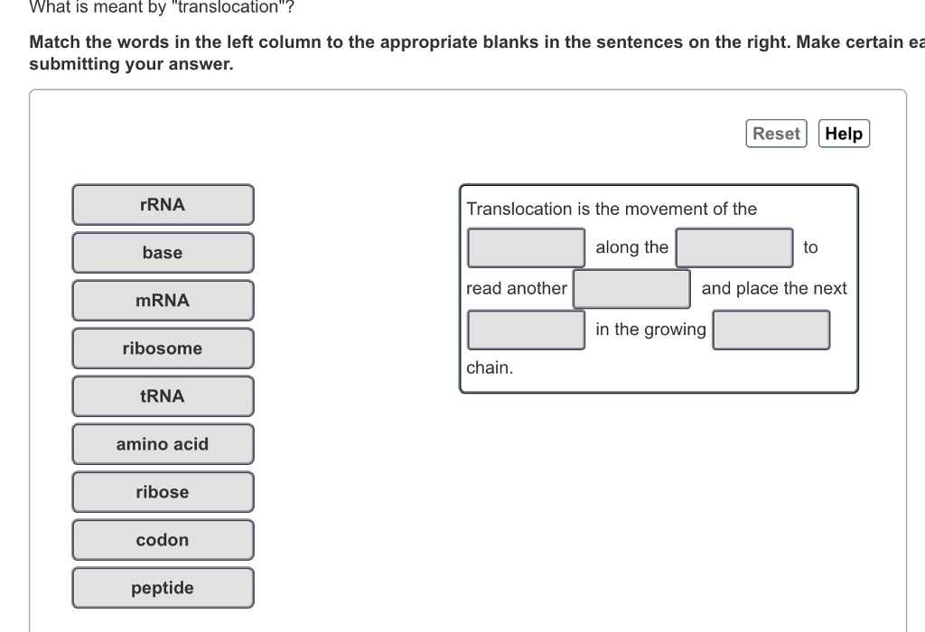 what is meant by translocation        <h3 class=