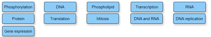 Solved label the figure to show your understanding of cell chegg