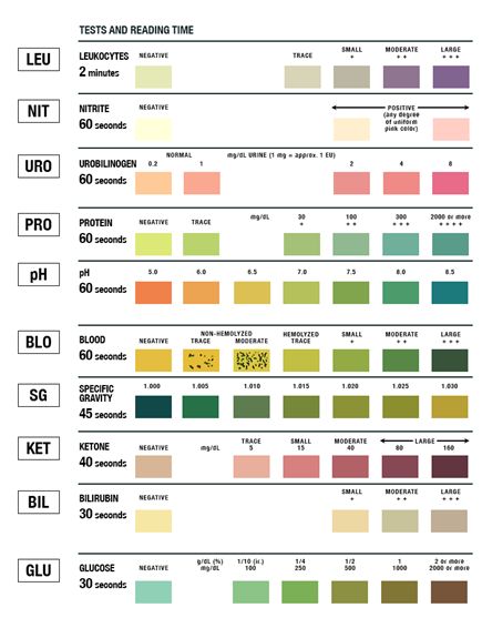 Solved 4. List the results of the labstix test for patient | Chegg.com