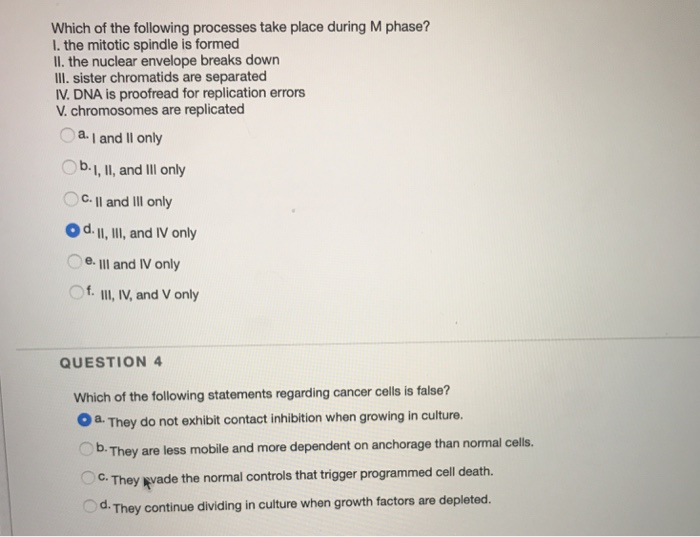 Solved Which of the following processes take place during M | Chegg.com