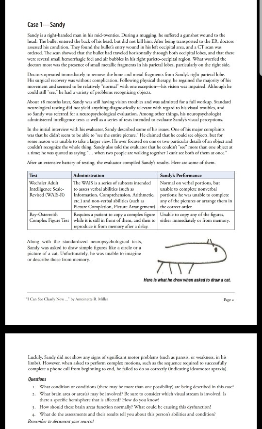 Case 1—Sandy Sandy is a righthanded man in his