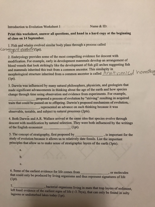 evidence-of-evolution-worksheet-laney-lee