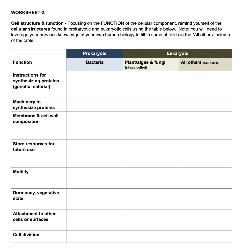 Eukaryotic Cell Structure Worksheet