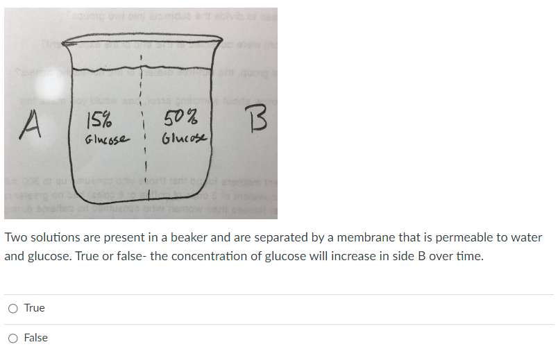 Solved Two solutions are present in a beaker and are | Chegg.com