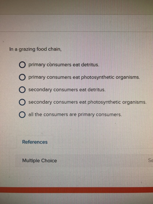 Solved In A Grazing Food Chain O Primary Consumers Eat Chegg