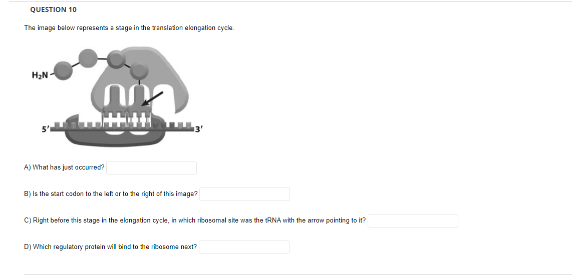 Solved QUESTION 10 The image below represents a stage in the | Chegg.com