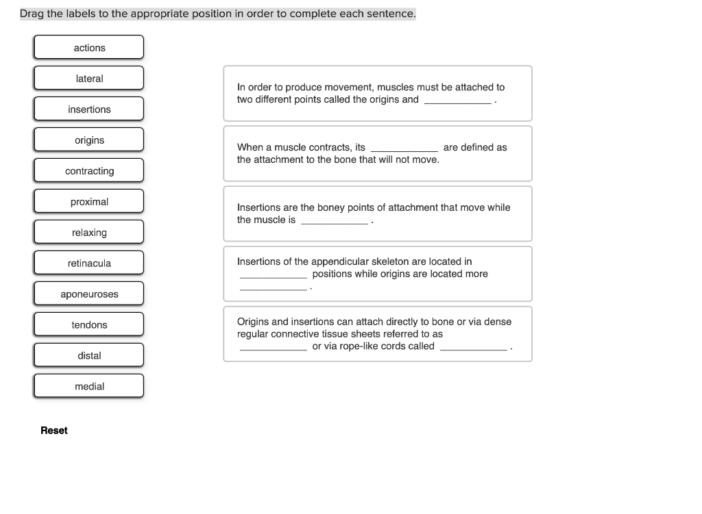 Solved Drag the labels to the appropriate position in order