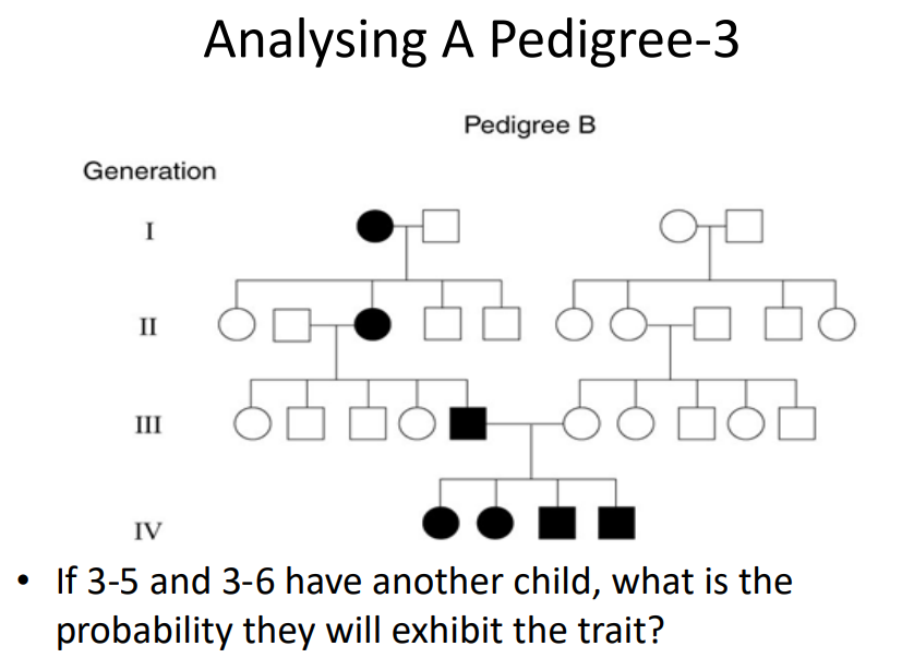 Solved Generation I II III Analysing A Pedigree3 IV
