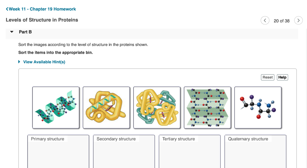 Solved Week 11-Chapter 19 Homework Levels Of Structure In | Chegg.com