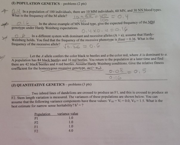 Solved Please answer the Population Genetics and the | Chegg.com