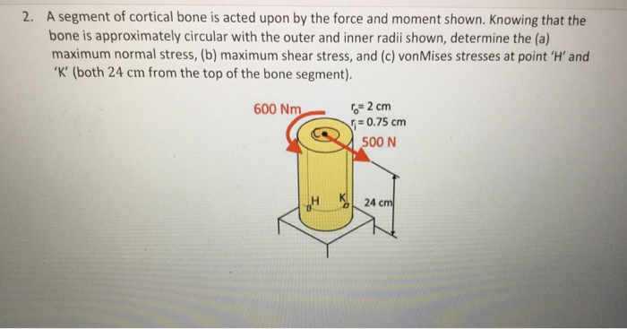 Solved A Segment Of Cortical Bone Is Acted Upon By The Force | Chegg.com