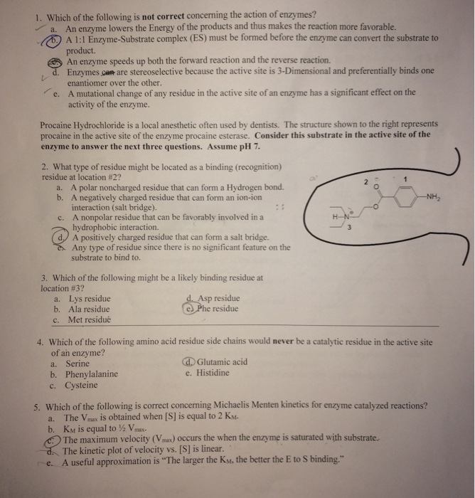 Solved Ignore the circled answers, some of them are wrong | Chegg.com