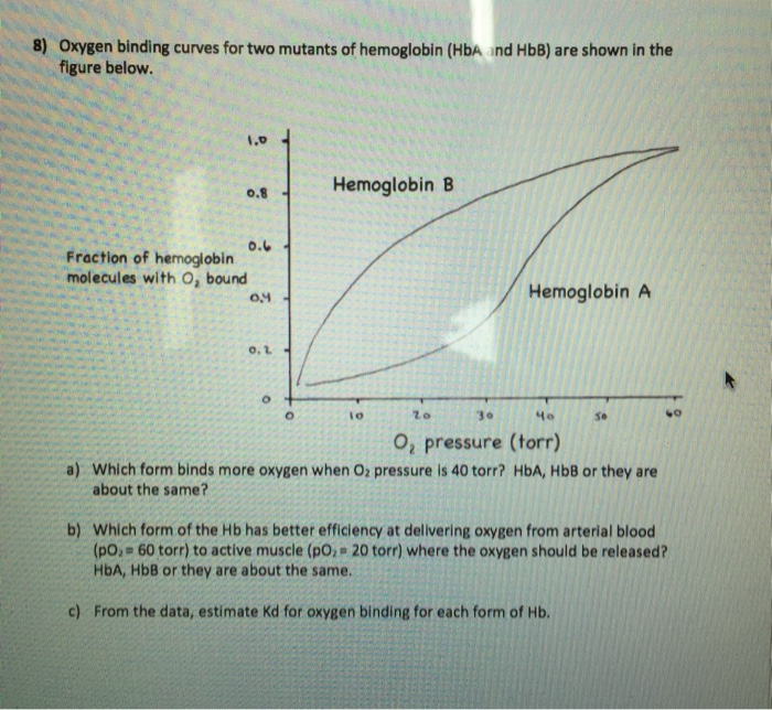 Solved 8) Oxygen Binding Curves For Two Mutants Of | Chegg.com