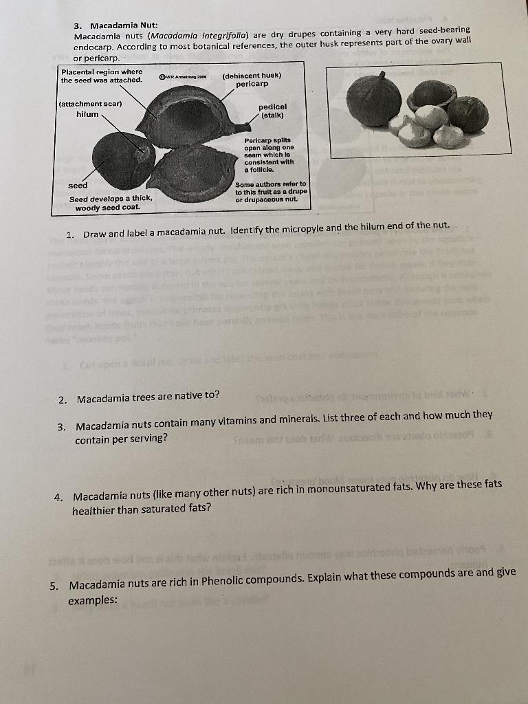 Solved 3. Macadamia Nut: Macadamia Nuts (Macadamia | Chegg.com