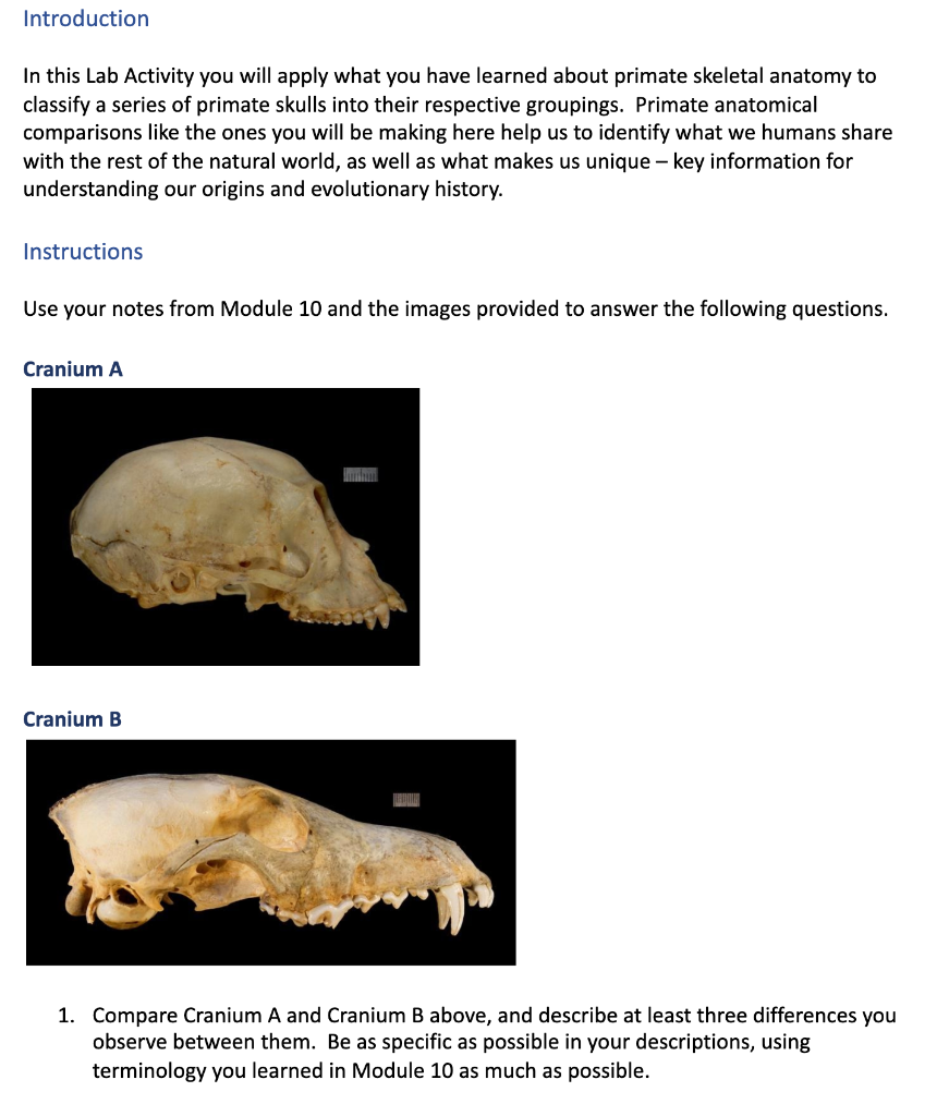 Solved Introduction In this Lab Activity you will apply what | Chegg.com
