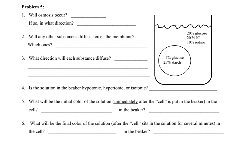 Solved Problem 5: 1. Will osmosis occur? If so, in what | Chegg.com