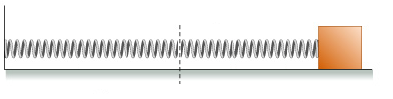 Solved A stretched spring is released at time t=0s and | Chegg.com