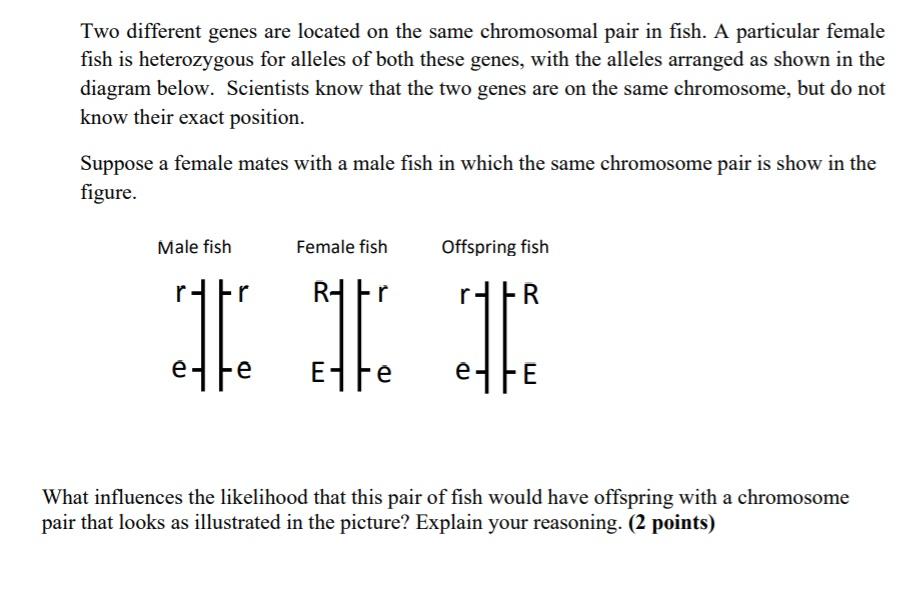 Solved Two different genes are located on the same | Chegg.com