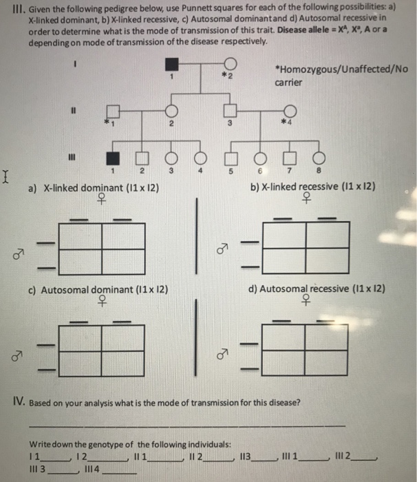 Solved Ill Given The Following Pedigree Below Use Punnett Chegg Com