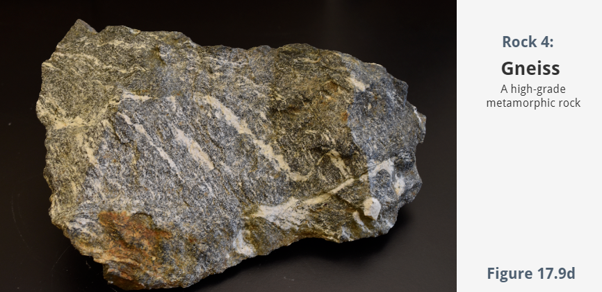 Solved Examine the eight rock samples in the slide deck | Chegg.com