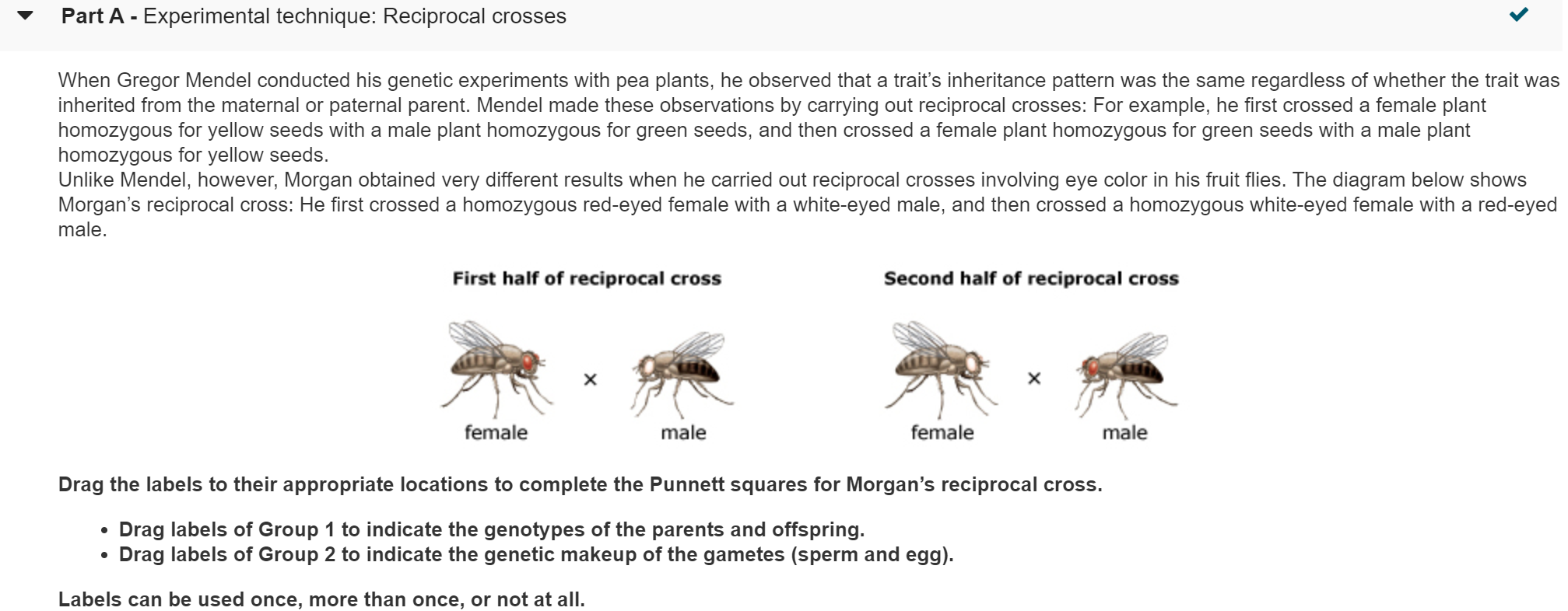 part a experimental technique reciprocal crosses