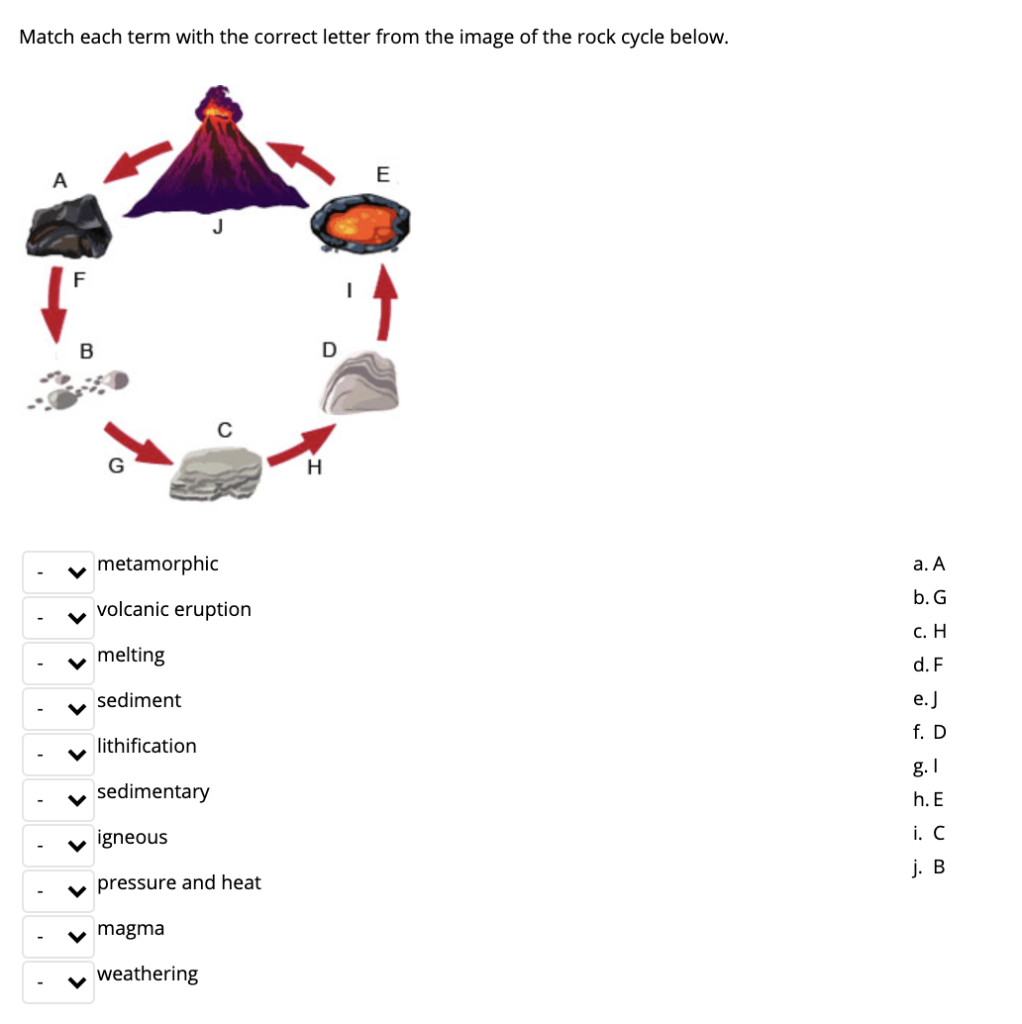 Solved Match Each Term With The Correct Letter From The I Chegg Com
