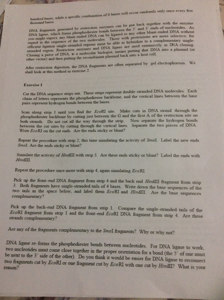 Solved DNA Scissors An Introduction to Restriction Enzymes