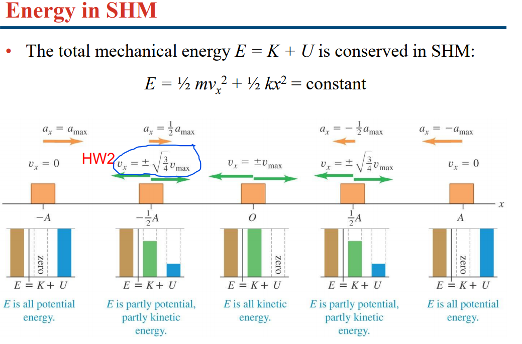 solved-energy-in-shm-the-total-mechanical-energy-e-k-u-chegg