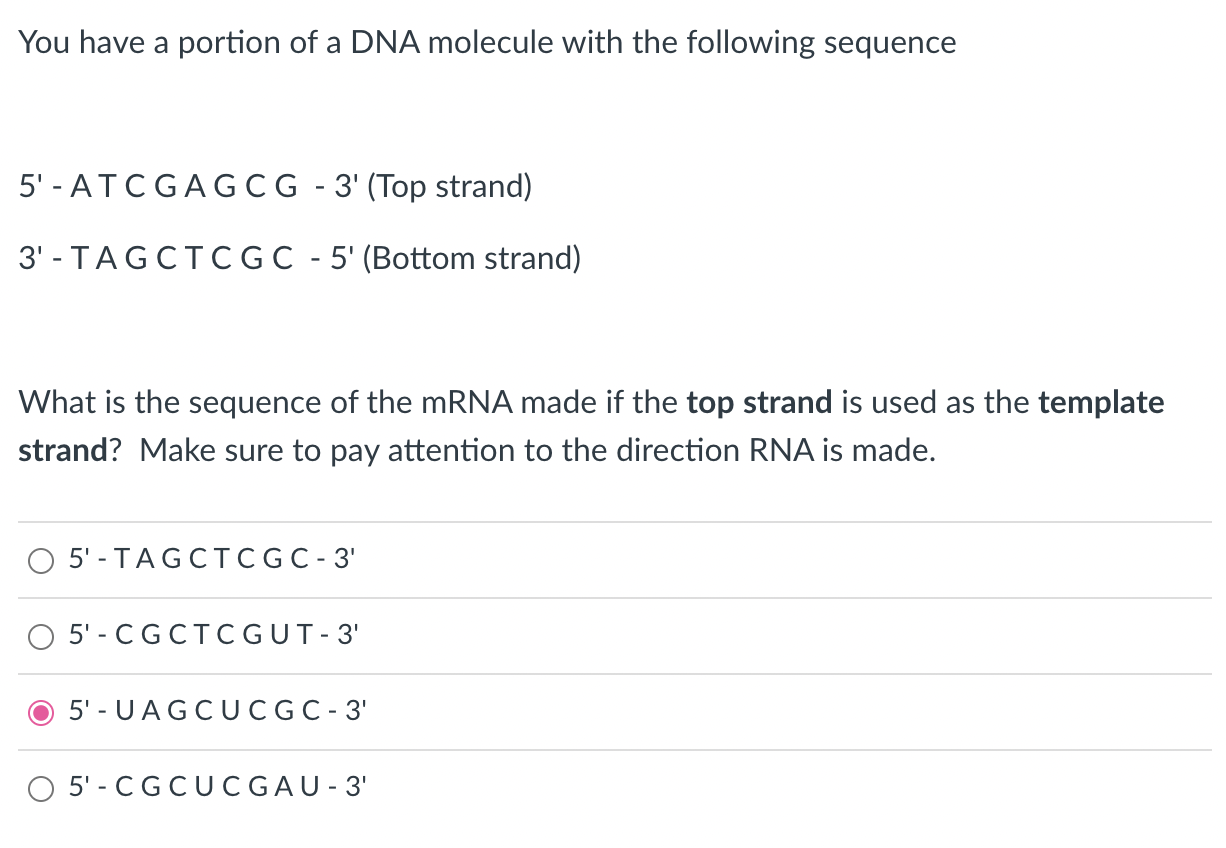 Solved You have a portion of a DNA molecule with the | Chegg.com